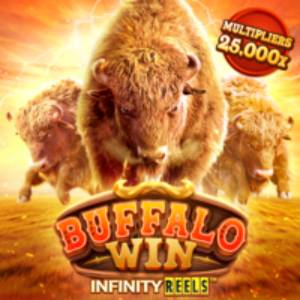 Buffalo